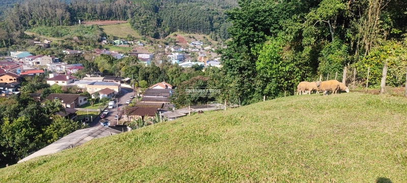 Riozinho- Terreno grande e bela vista no Centro: 6ª foto da galeria de imagens do imóvel