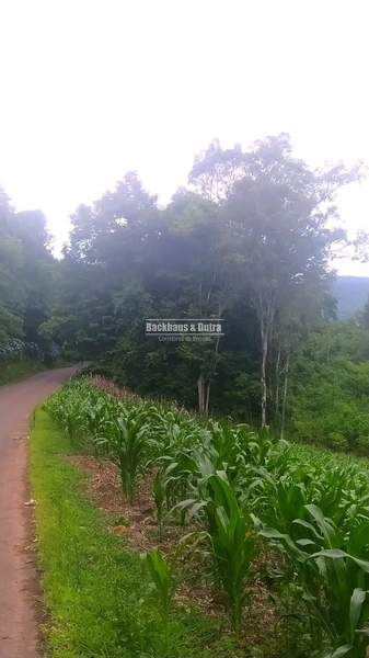Rolante- 6 Hectares na Boa Esperança: 7ª foto da galeria de imagens do imóvel