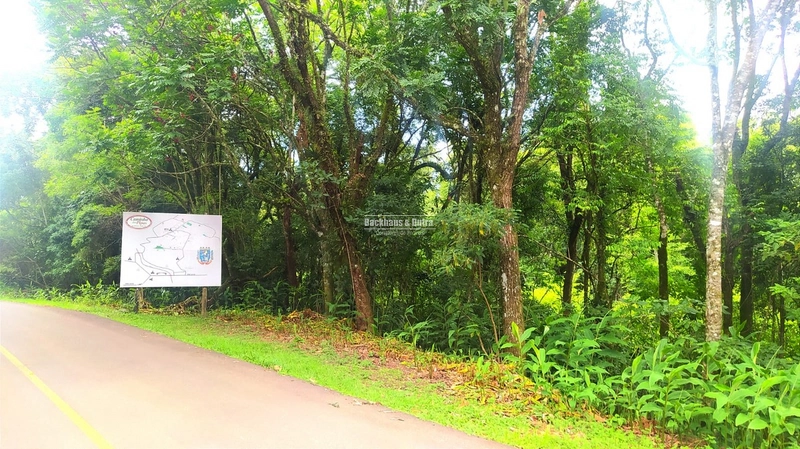 Rolante- 6 Hectares na Boa Esperança: 1ª foto da galeria de imagens do imóvel