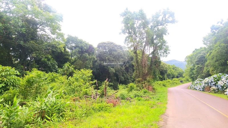 Rolante- 6 Hectares na Boa Esperança: 4ª foto da galeria de imagens do imóvel