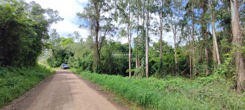 Rolante- 3 hectares Morro Grande: 3ª foto da galeria de imagens do imóvel
