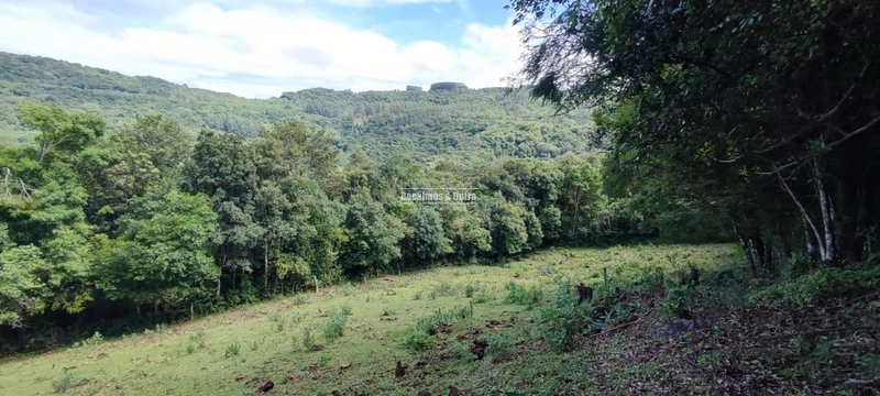 Rolante- 3 hectares Morro Grande: 8ª foto da galeria de imagens do imóvel