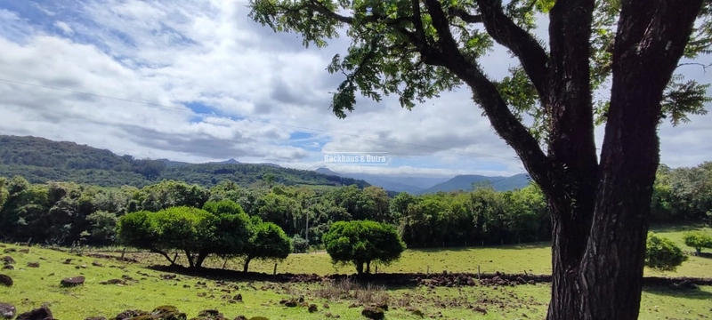 Rolante- 3 hectares Morro Grande: 1ª foto da galeria de imagens do imóvel