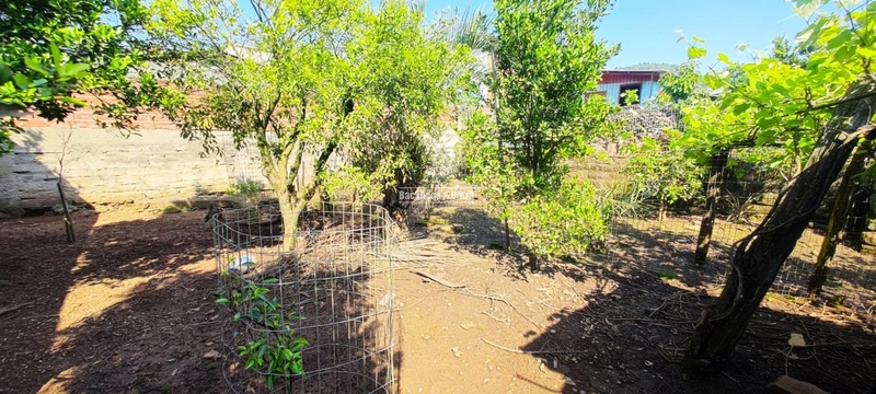 Rolante- Casa Com Pátio no Bairro Grassmann Terreno 319 m²: 3ª foto da galeria de imagens do imóvel