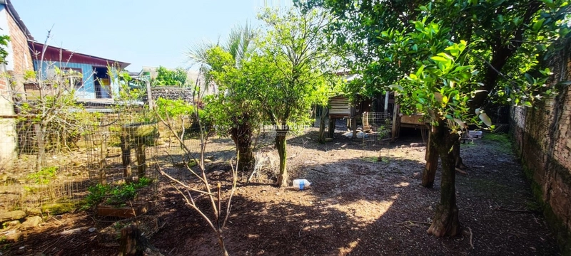 Rolante- Casa Com Pátio no Bairro Grassmann Terreno 319 m²: 5ª foto da galeria de imagens do imóvel