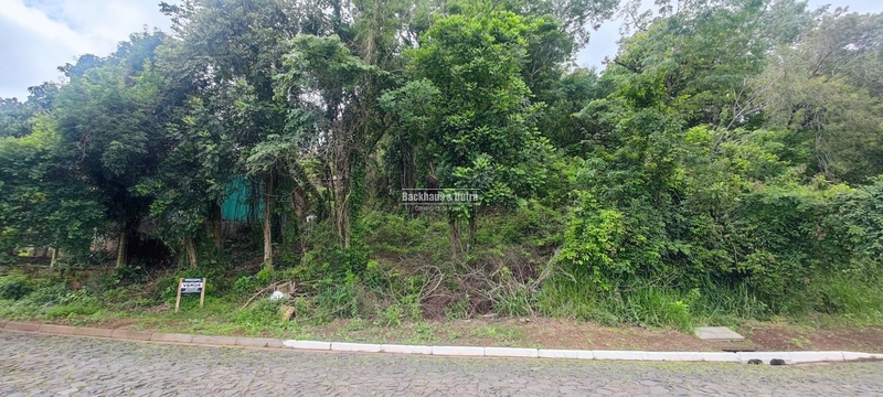 Rolante- Terreno Amplo livre de enchentes- Piccadilly: 5ª foto da galeria de imagens do imóvel