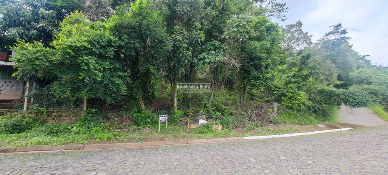 Rolante- Terreno Amplo livre de enchentes- Piccadilly: 4ª foto da galeria de imagens do imóvel