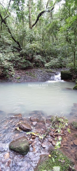 Riozinho- 30 Hectares com 5 cascatas- Chuvisqueiro: 24ª foto da galeria de imagens do imóvel