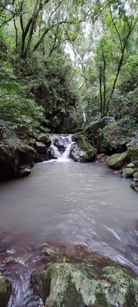 Riozinho- 30 Hectares com 5 cascatas- Chuvisqueiro: 10ª foto da galeria de imagens do imóvel