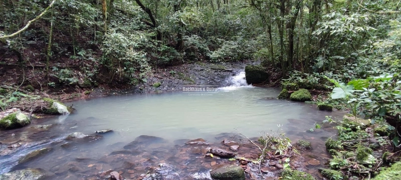 Riozinho- 30 Hectares com 5 cascatas- Chuvisqueiro: 27ª foto da galeria de imagens do imóvel