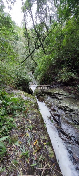 Riozinho- 30 Hectares com 5 cascatas- Chuvisqueiro: 13ª foto da galeria de imagens do imóvel