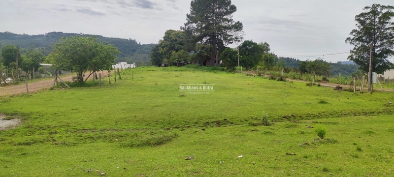 ROLANTE- Terreno as margens do Asfalto - Areia: 6ª foto da galeria de imagens do imóvel