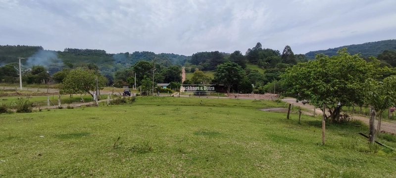 ROLANTE- Terreno as margens do Asfalto - Areia: 1ª foto da galeria de imagens do imóvel