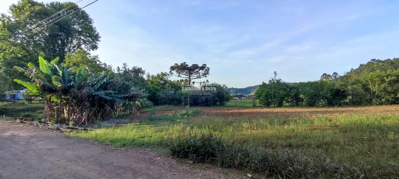 Rolante- Terreno Amplo de 663 m²- Rolantinho: 7ª foto da galeria de imagens do imóvel