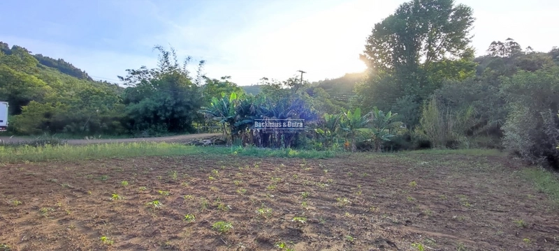 Rolante- Terreno Amplo de 663 m²- Rolantinho: 9ª foto da galeria de imagens do imóvel