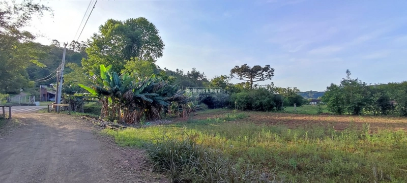 Rolante- Terreno Amplo de 663 m²- Rolantinho: 10ª foto da galeria de imagens do imóvel