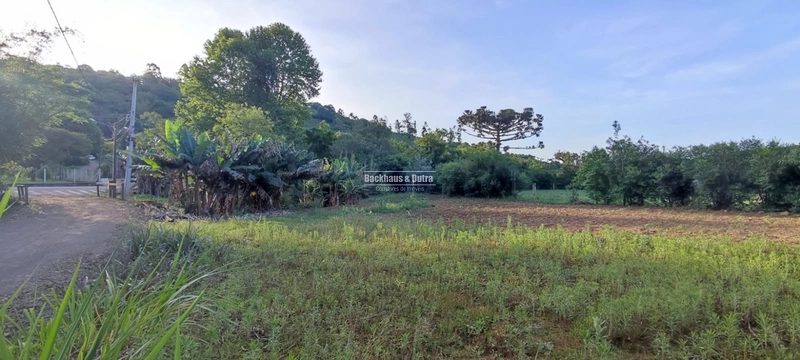 Rolante- Terreno Amplo de 663 m²- Rolantinho: 1ª foto da galeria de imagens do imóvel