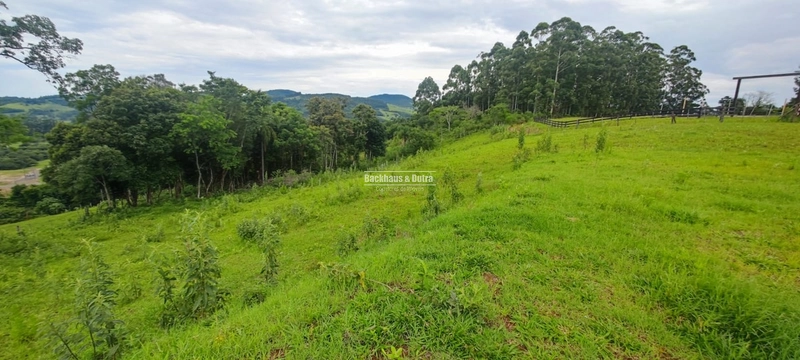 Rolante- 5.000m² Local alto e Bela Vista- Campinas: 2ª foto da galeria de imagens do imóvel