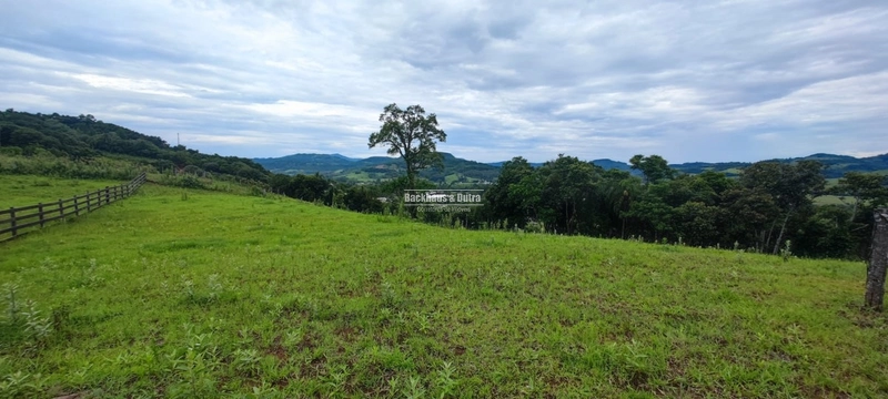 Rolante- 5.000m² Local alto e Bela Vista- Campinas: 9ª foto da galeria de imagens do imóvel