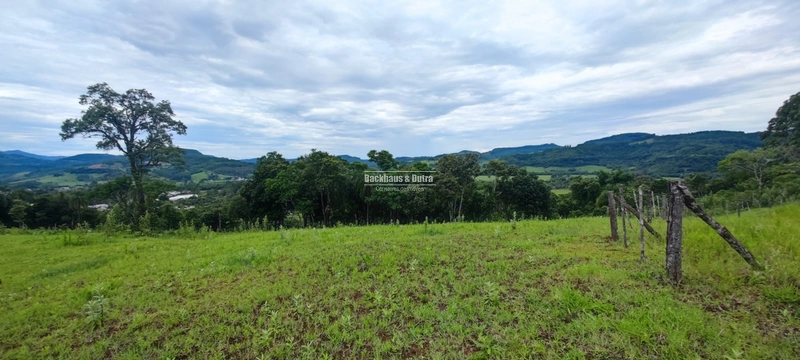 Rolante- 5.000m² Local alto e Bela Vista- Campinas: 8ª foto da galeria de imagens do imóvel