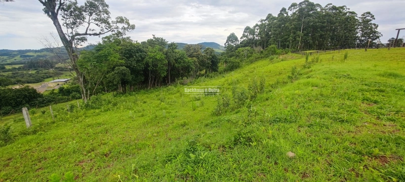 Rolante- 5.000m² Local alto e Bela Vista- Campinas: 4ª foto da galeria de imagens do imóvel