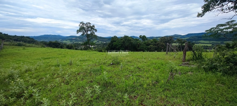 Rolante- 5.000m² Local alto e Bela Vista- Campinas: 5ª foto da galeria de imagens do imóvel