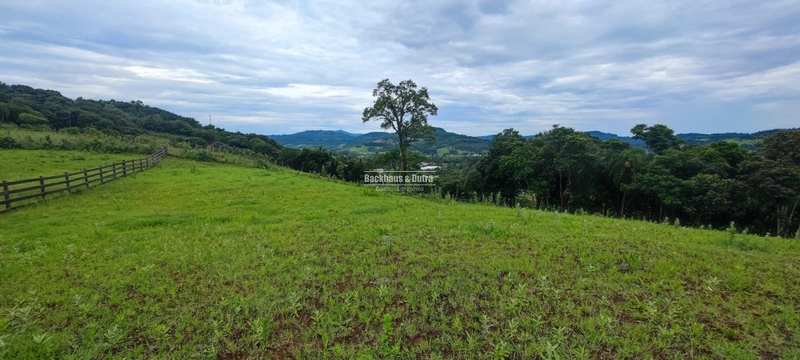 Rolante- 5.000m² Local alto e Bela Vista- Campinas: 1ª foto da galeria de imagens do imóvel