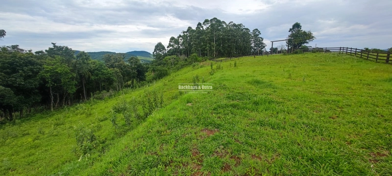 Rolante- 5.000m² Local alto e Bela Vista- Campinas: 6ª foto da galeria de imagens do imóvel