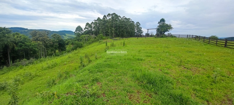 Rolante- 5.000m² Local alto e Bela Vista- Campinas: 3ª foto da galeria de imagens do imóvel