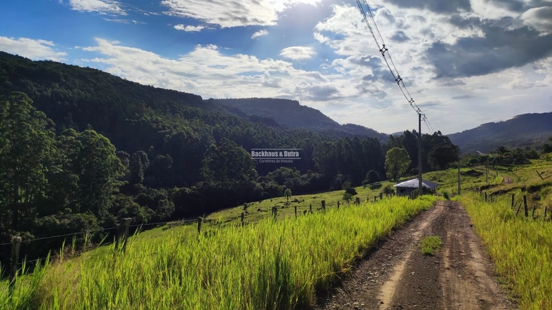 ROLANTE - CHÁCARA DE APROX. 6.000 M2 - COLÔNIA MONGE: 3ª foto da galeria de imagens do imóvel