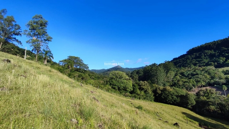 ROLANTE - CHÁCARA DE APROX. 6.000 M2 - COLÔNIA MONGE: 8ª foto da galeria de imagens do imóvel