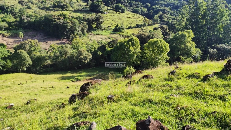 ROLANTE - CHÁCARA DE APROX. 6.000 M2 - COLÔNIA MONGE: 7ª foto da galeria de imagens do imóvel