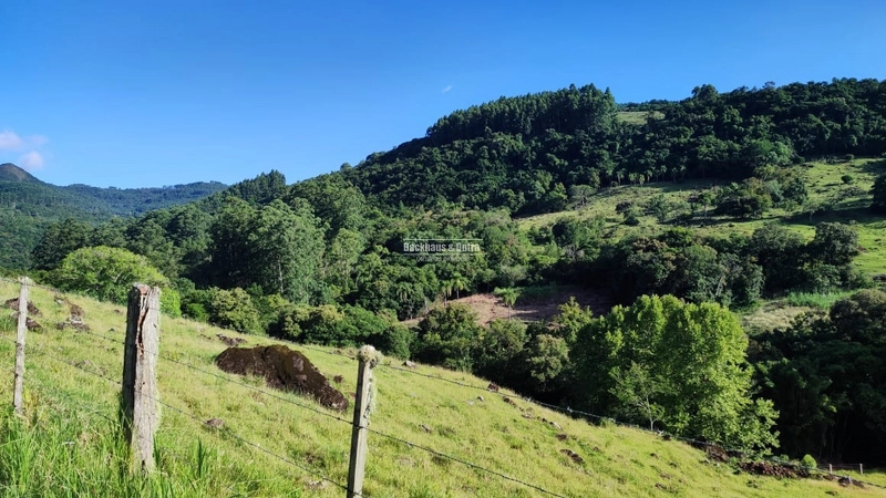 ROLANTE - CHÁCARA DE APROX. 6.000 M2 - COLÔNIA MONGE: 5ª foto da galeria de imagens do imóvel