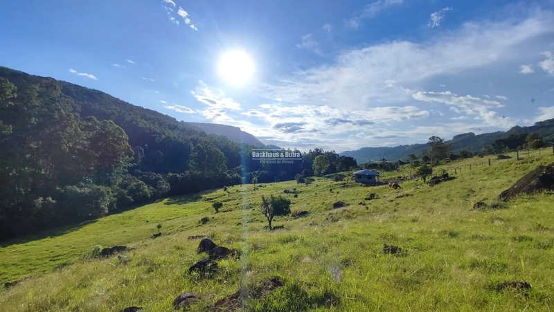 ROLANTE - CHÁCARA DE APROX. 6.000 M2 - COLÔNIA MONGE: 1ª foto da galeria de imagens do imóvel