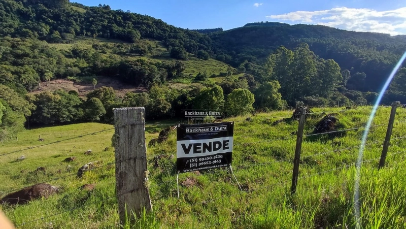 ROLANTE - CHÁCARA DE APROX. 6.000 M2 - COLÔNIA MONGE: 2ª foto da galeria de imagens do imóvel
