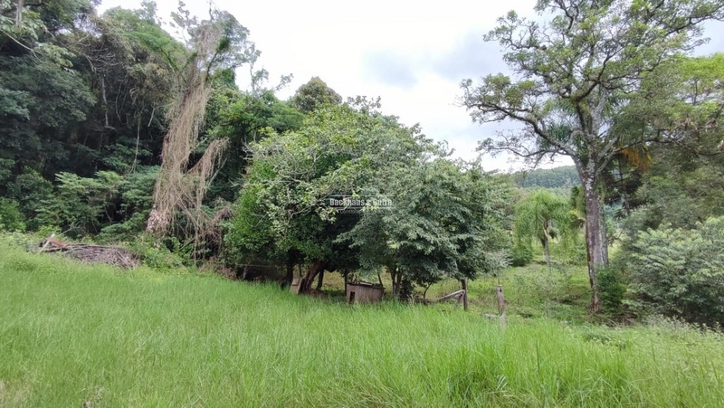 ROLANTE- CHÁCARA DE 9 HECTARES COM AÇUDES - CANTA GALO: 14ª foto da galeria de imagens do imóvel