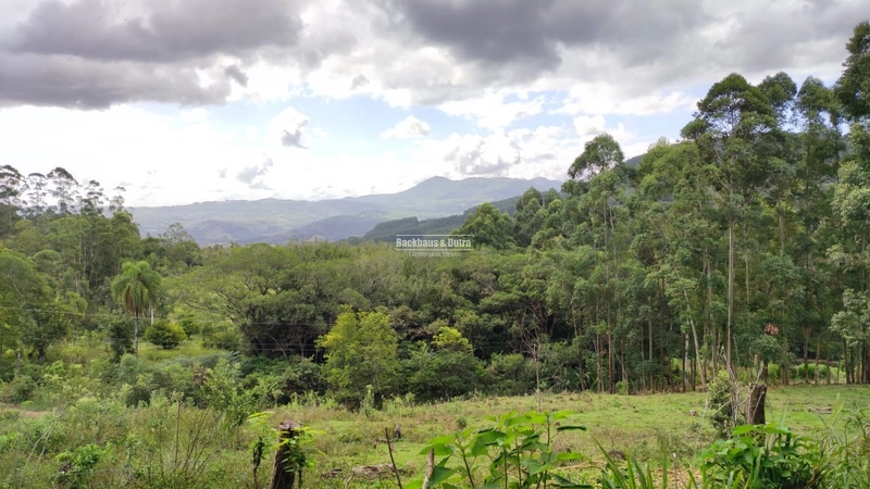 ROLANTE- CHÁCARA DE 9 HECTARES COM AÇUDES - CANTA GALO: 13ª foto da galeria de imagens do imóvel
