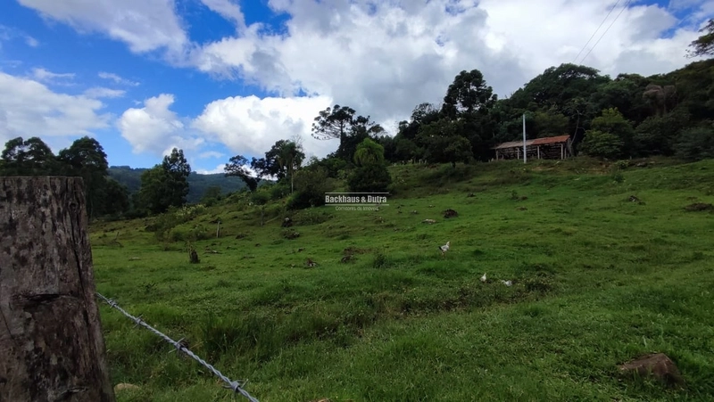 ROLANTE- CHÁCARA DE 9 HECTARES COM AÇUDES - CANTA GALO: 12ª foto da galeria de imagens do imóvel