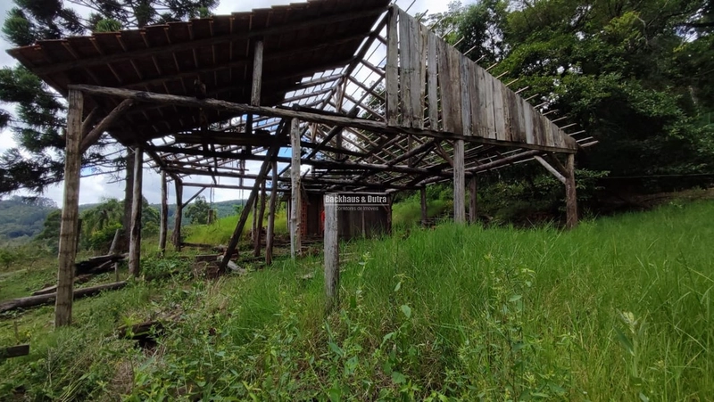 ROLANTE- CHÁCARA DE 9 HECTARES COM AÇUDES - CANTA GALO: 5ª foto da galeria de imagens do imóvel