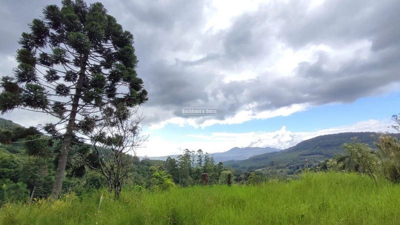 ROLANTE- CHÁCARA DE 9 HECTARES COM AÇUDES - CANTA GALO: 4ª foto da galeria de imagens do imóvel