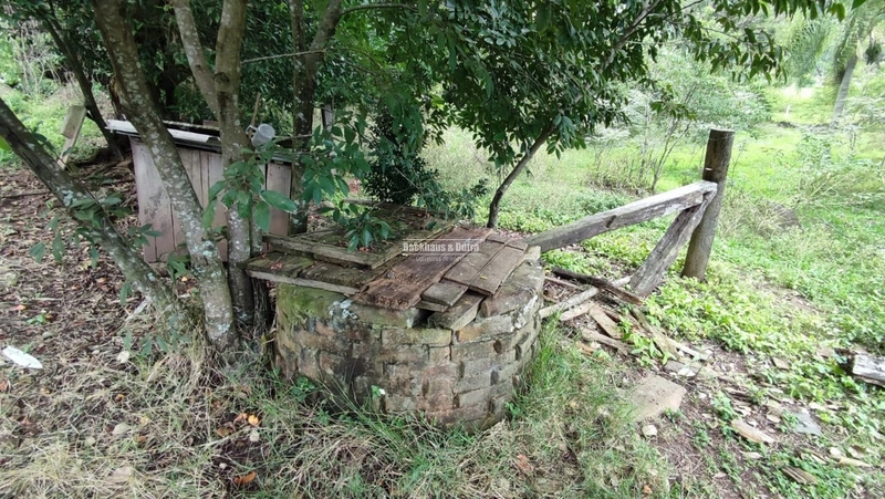 ROLANTE- CHÁCARA DE 9 HECTARES COM AÇUDES - CANTA GALO: 6ª foto da galeria de imagens do imóvel