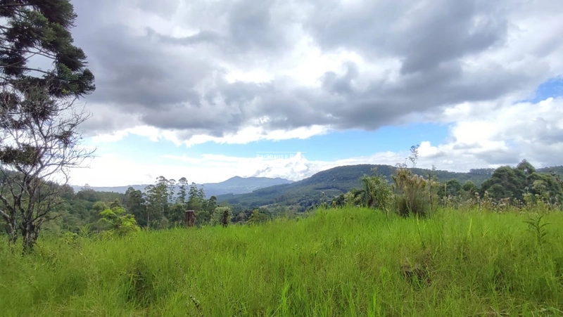 ROLANTE- CHÁCARA DE 9 HECTARES COM AÇUDES - CANTA GALO: 3ª foto da galeria de imagens do imóvel