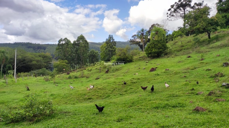 ROLANTE- CHÁCARA DE 9 HECTARES COM AÇUDES - CANTA GALO: 2ª foto da galeria de imagens do imóvel