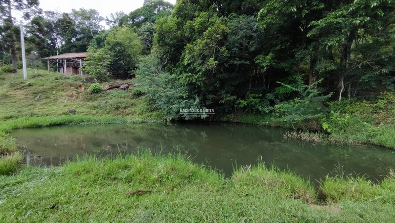 ROLANTE- CHÁCARA DE 9 HECTARES COM AÇUDES - CANTA GALO: 11ª foto da galeria de imagens do imóvel