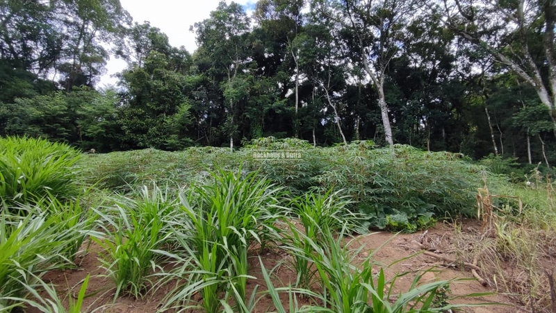 ROLANTE- CHÁCARA DE 9 HECTARES COM AÇUDES - CANTA GALO: 10ª foto da galeria de imagens do imóvel