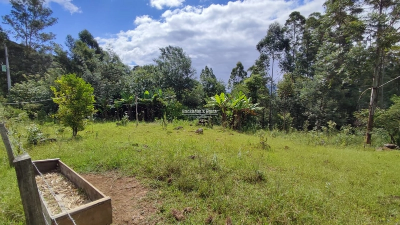ROLANTE - CHÁCARA DE 3 HECTARES COM CASA E AÇUDES - CANTA GALO: 15ª foto da galeria de imagens do imóvel