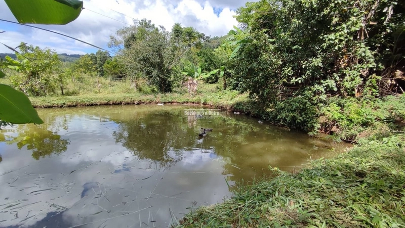 ROLANTE - CHÁCARA DE 3 HECTARES COM CASA E AÇUDES - CANTA GALO: 3ª foto da galeria de imagens do imóvel