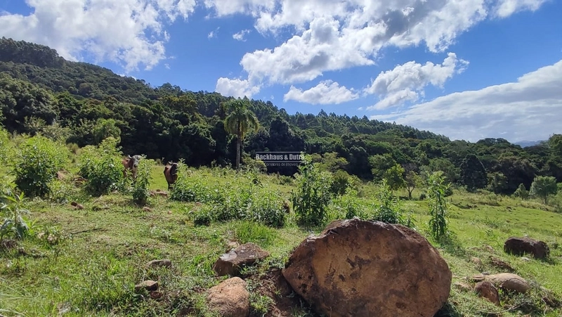 ROLANTE - CHÁCARA DE 3 HECTARES COM CASA E AÇUDES - CANTA GALO: 6ª foto da galeria de imagens do imóvel