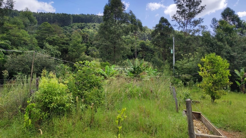ROLANTE - CHÁCARA DE 3 HECTARES COM CASA E AÇUDES - CANTA GALO: 5ª foto da galeria de imagens do imóvel