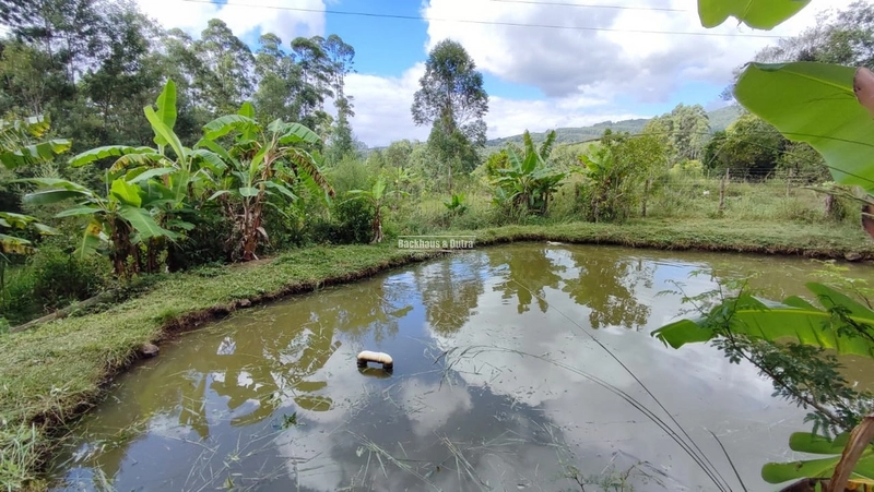 ROLANTE - CHÁCARA DE 3 HECTARES COM CASA E AÇUDES - CANTA GALO: 2ª foto da galeria de imagens do imóvel